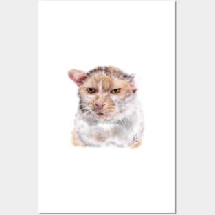 Van Gogh Kitty Posters and Art